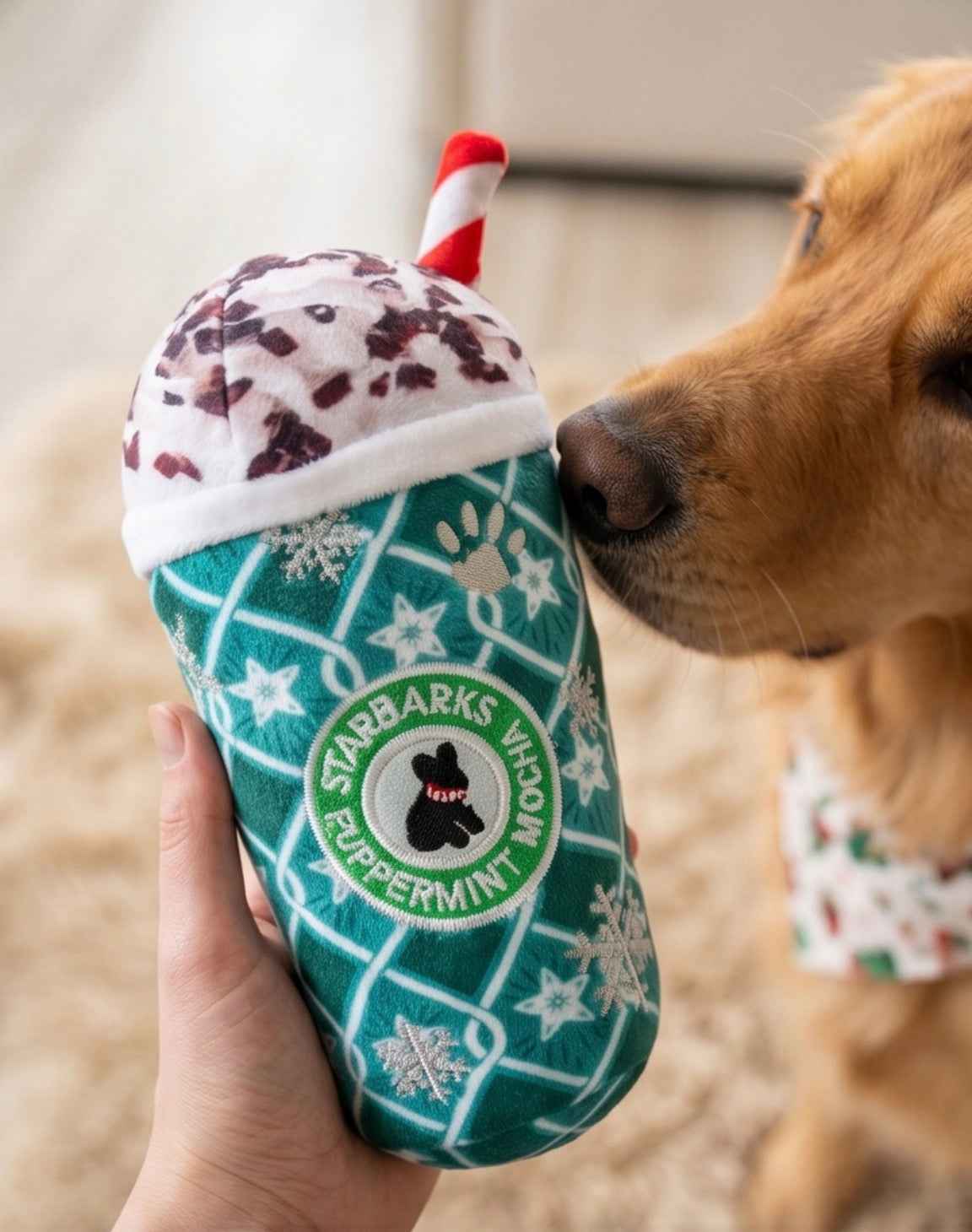 Haute Diggity Dog Starbarks Puppermint Mocha - Green Stars Cup Christmas Plush Dog Toy Holidays Christmas Plush Dog Toy