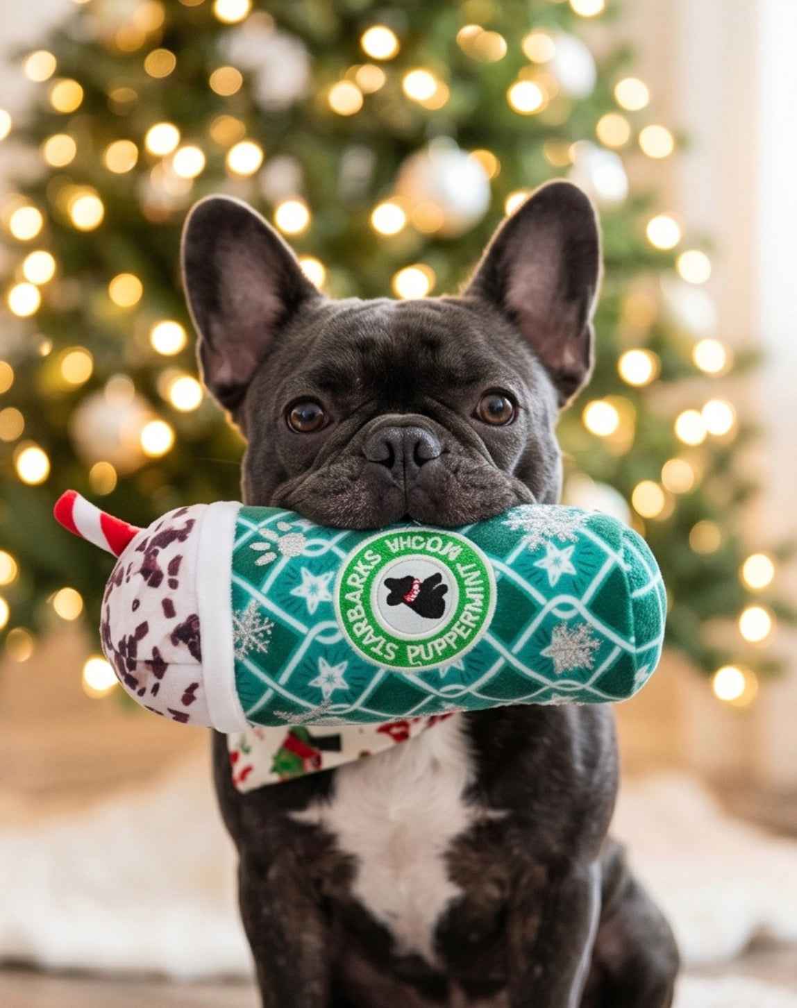 Haute Diggity Dog Starbarks Puppermint Mocha - Green Stars Cup Christmas Plush Dog Toy Holidays Christmas Plush Dog Toy