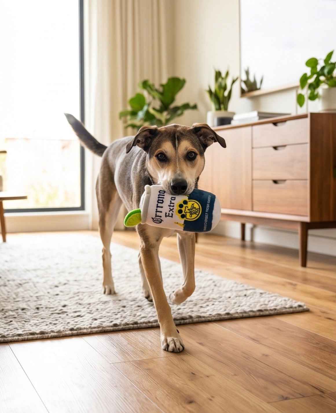 Haute Diggity Dog Grrrona Can Plush Dog Toy