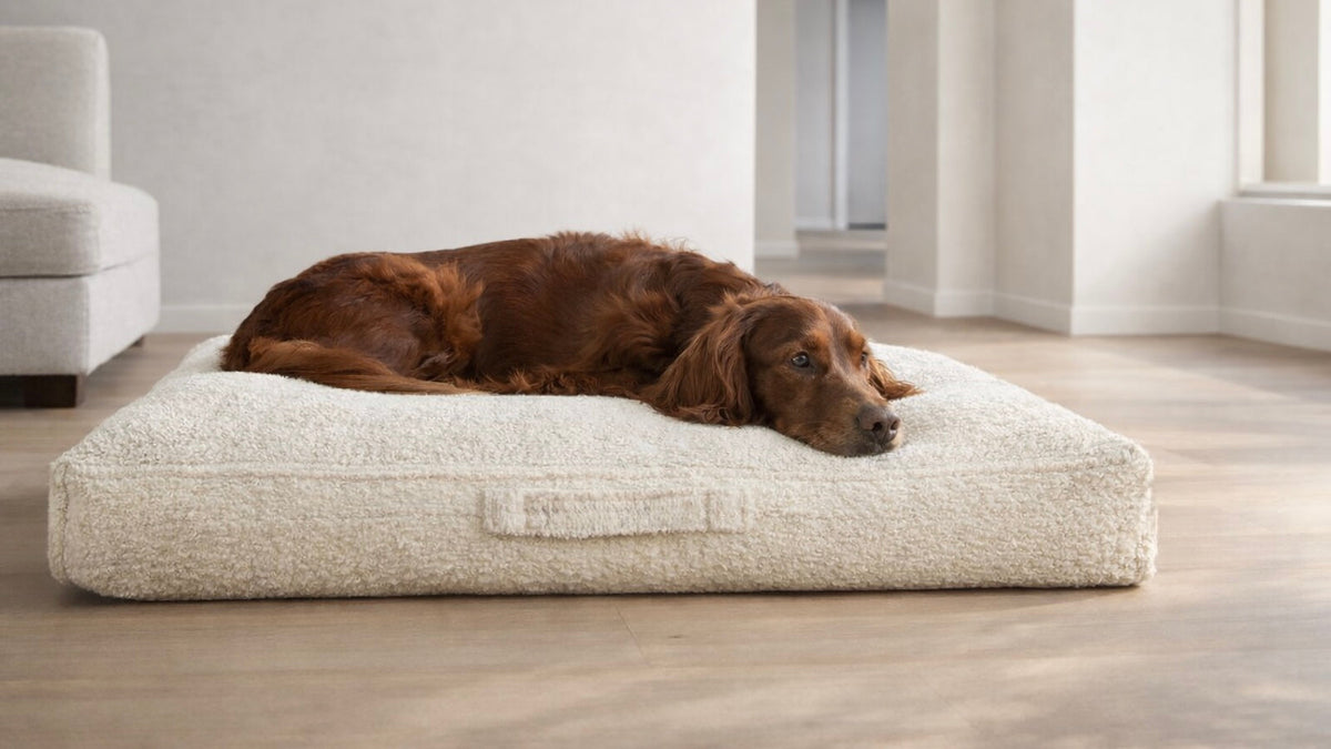 Bowsers The Avenue Orthopedic Dog Bed Orthopedic Dog Bed - Supportive Joint-Relief Comfort