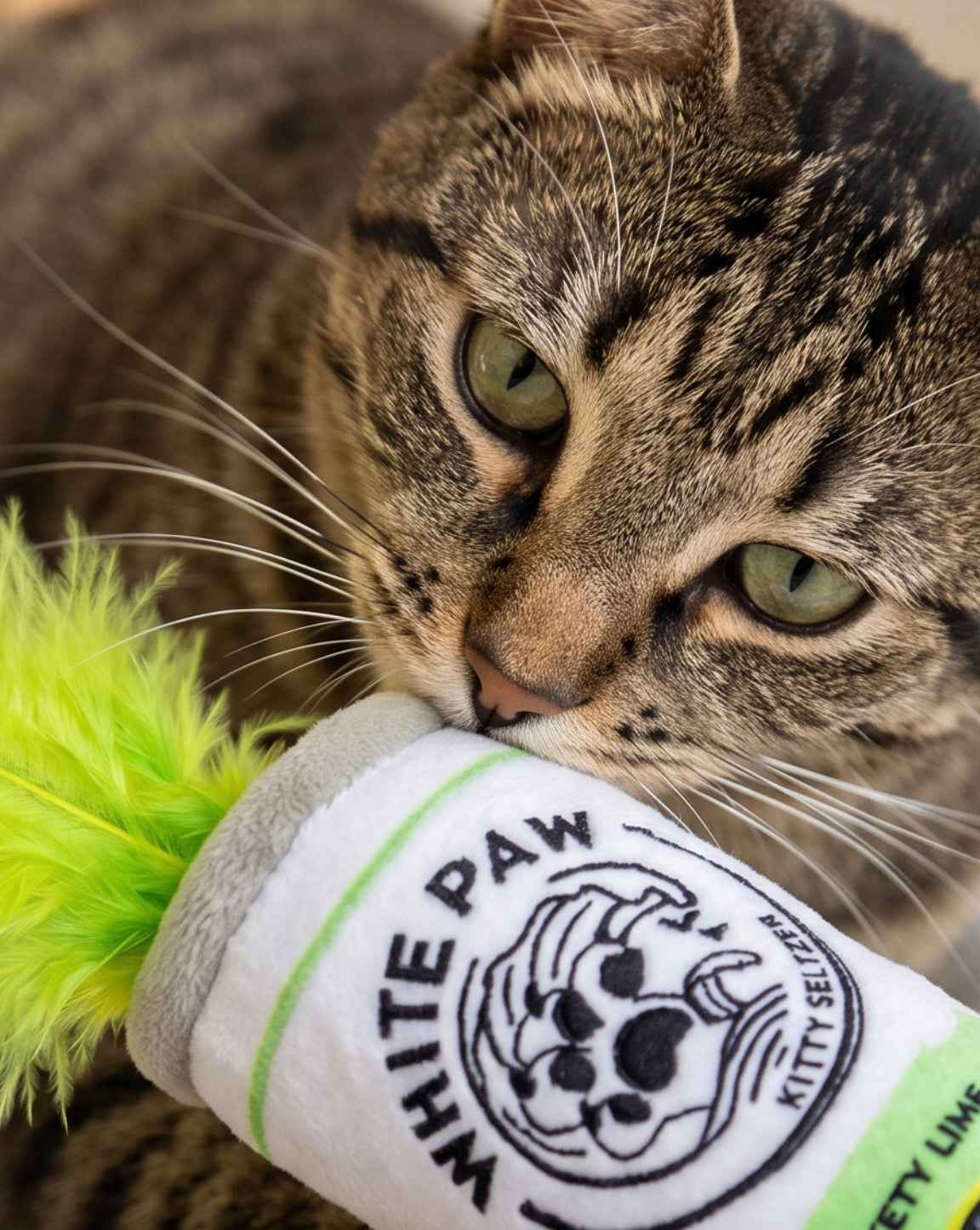 Haute Diggity Dog White Paw (Mango & Lime) Organic Catnip Cat Organic Catnip Toy