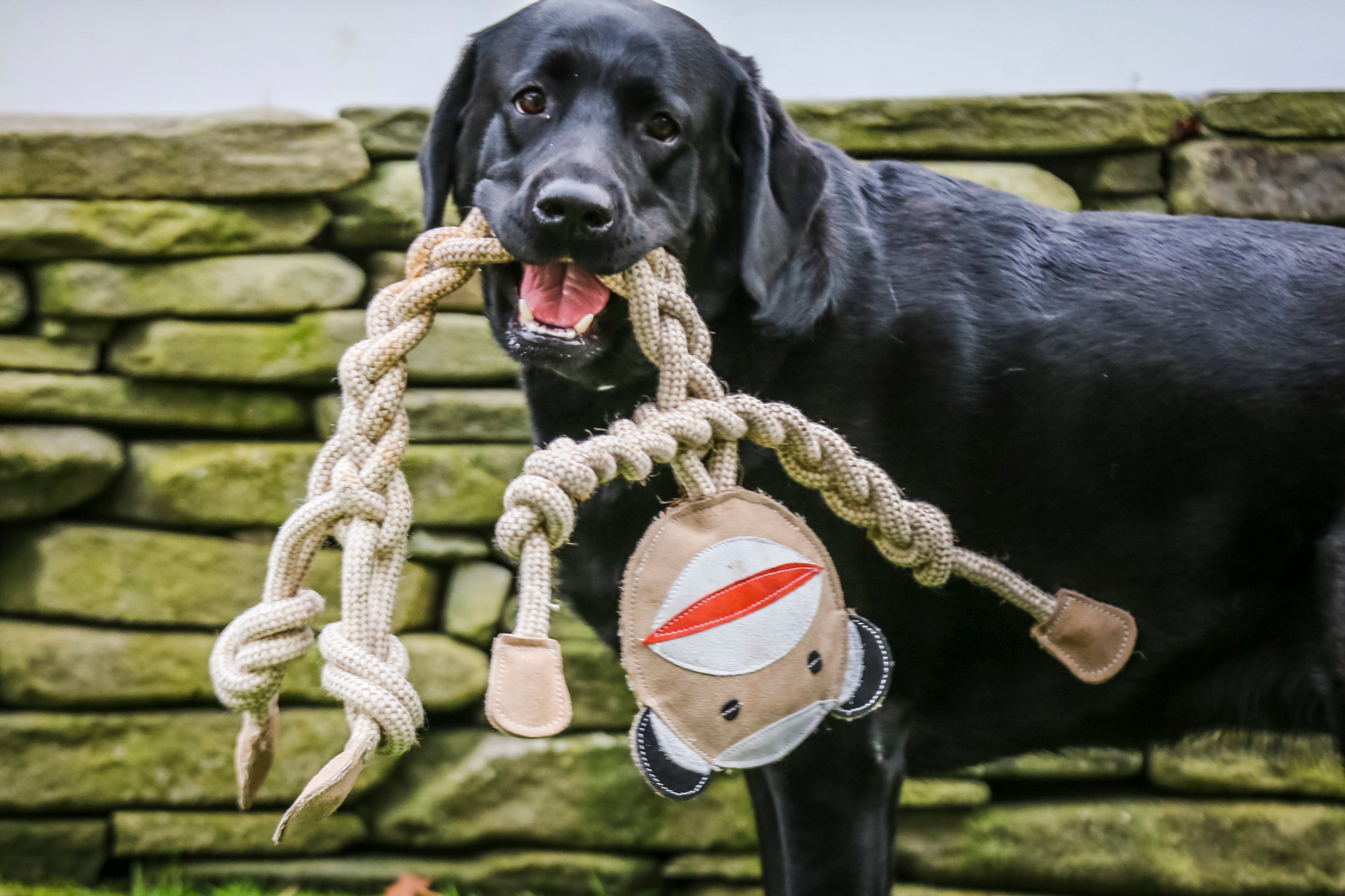 Natural Rope Knottie Dog Toys, 3 Pack, XL (16mm rope diameter)