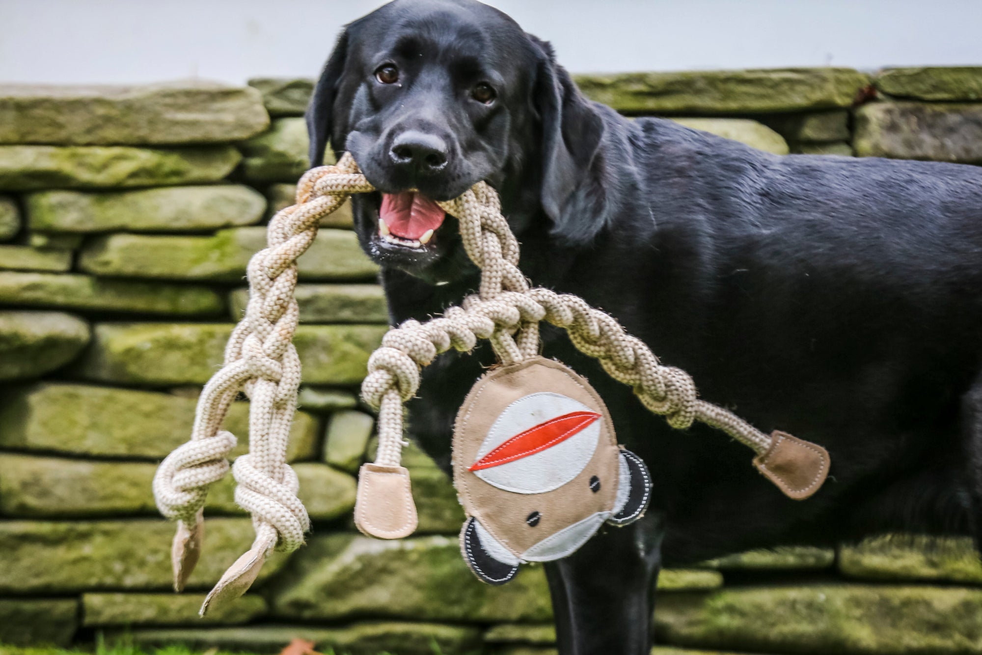 Natural Rope Knottie Dog Toys, 3 Pack, XL (16mm rope diameter)