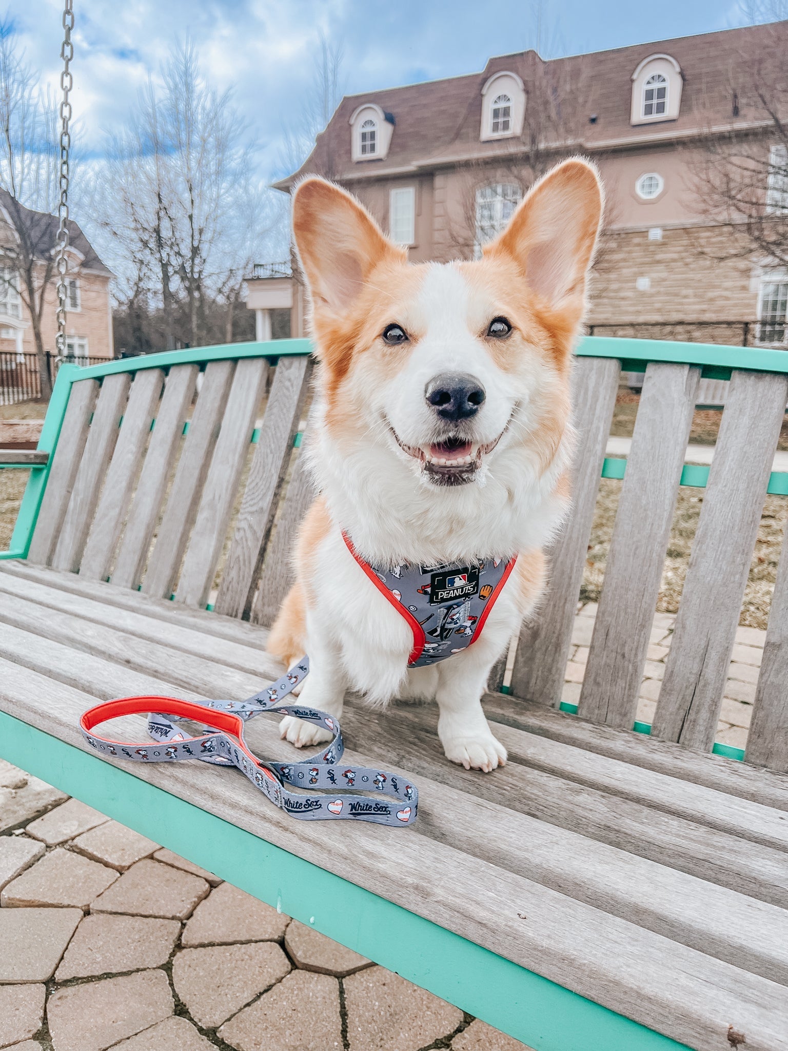 Dog Leash - MLB™ x Peanuts™ Chicago White Sox™