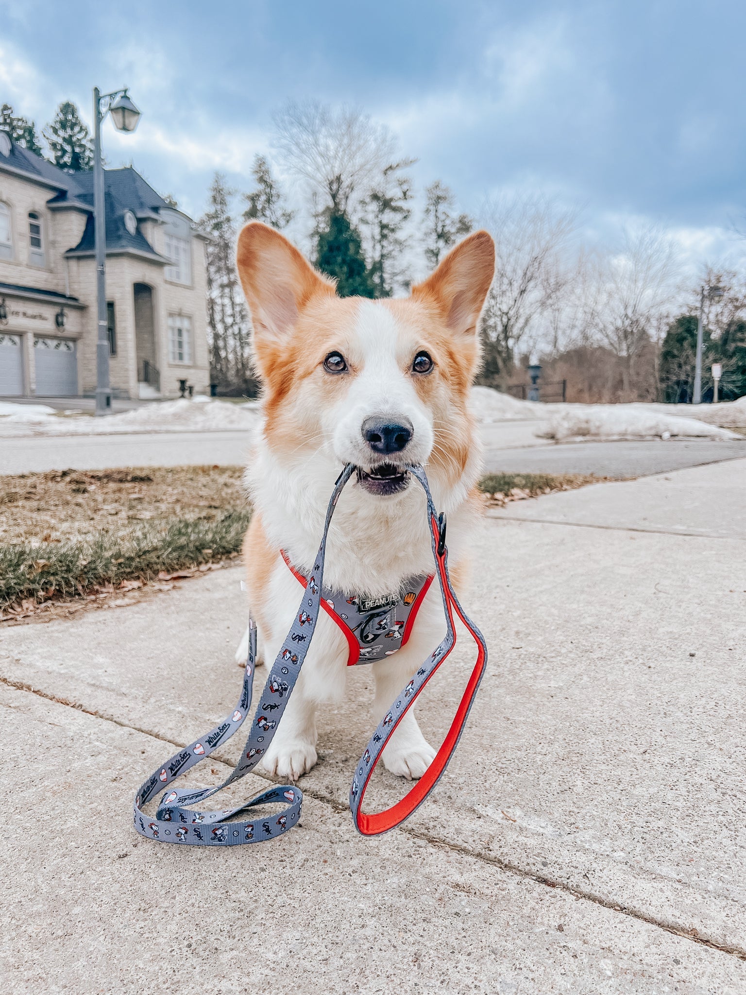Dog Leash - MLB™ x Peanuts™ Chicago White Sox™
