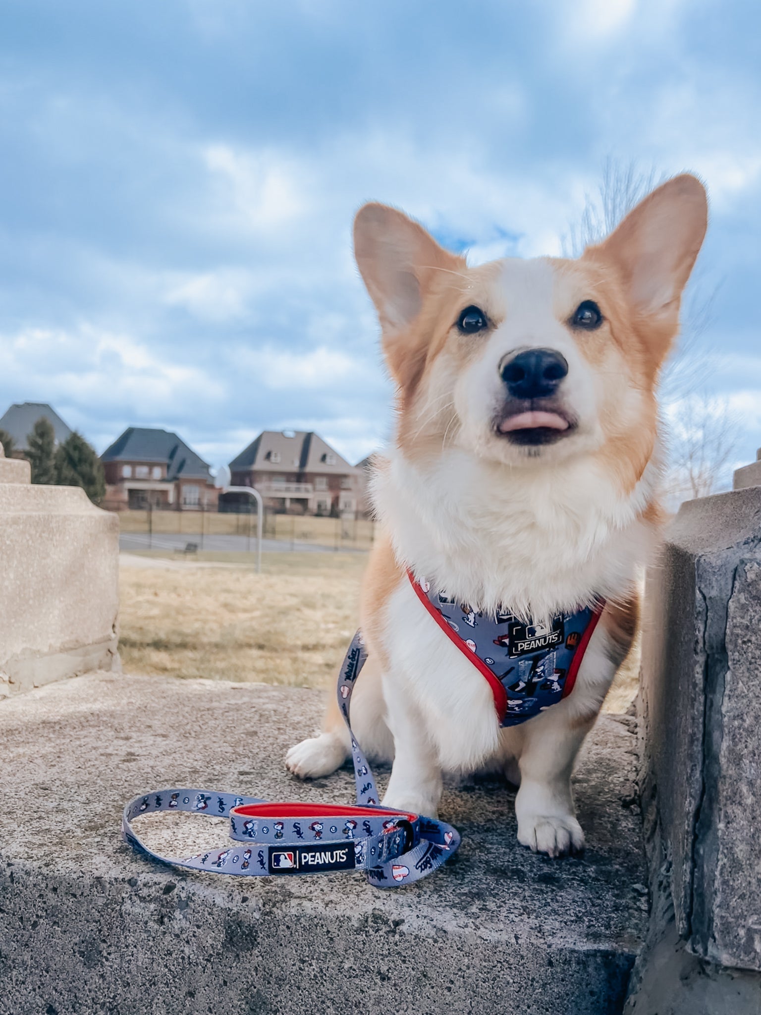 Dog Leash - MLB™ x Peanuts™ Chicago White Sox™