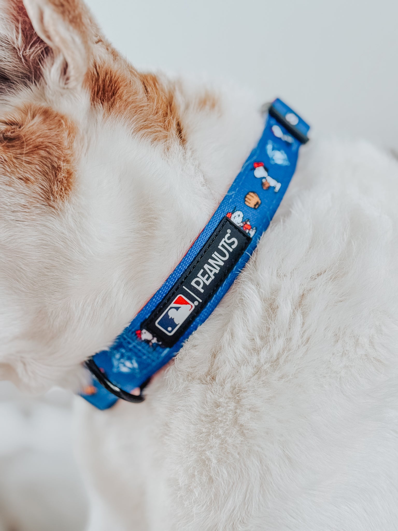 Dog Collar - MLB™ x Peanuts™ Toronto Blue Jays™