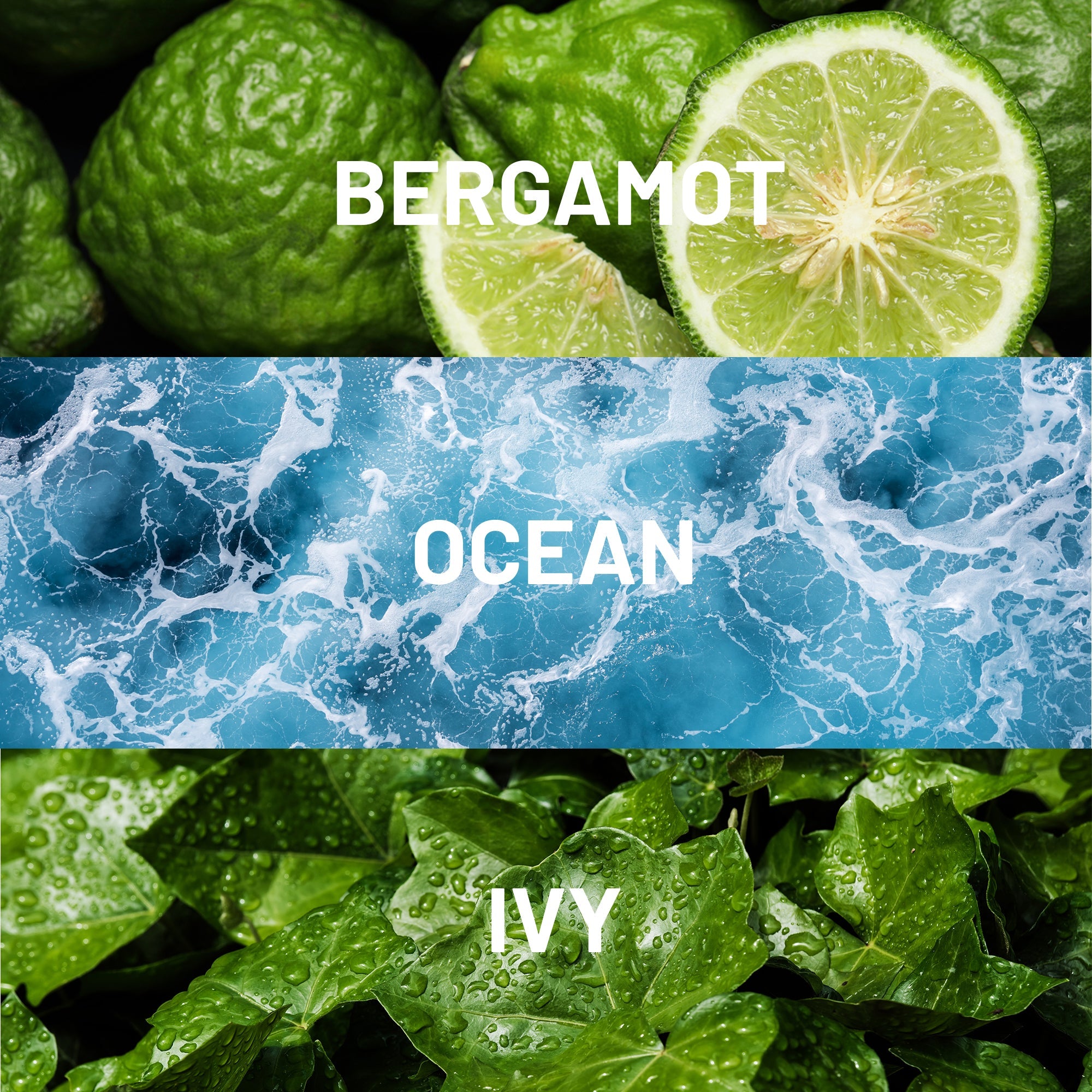 Hotel Collection Island Life Fragrance Oil