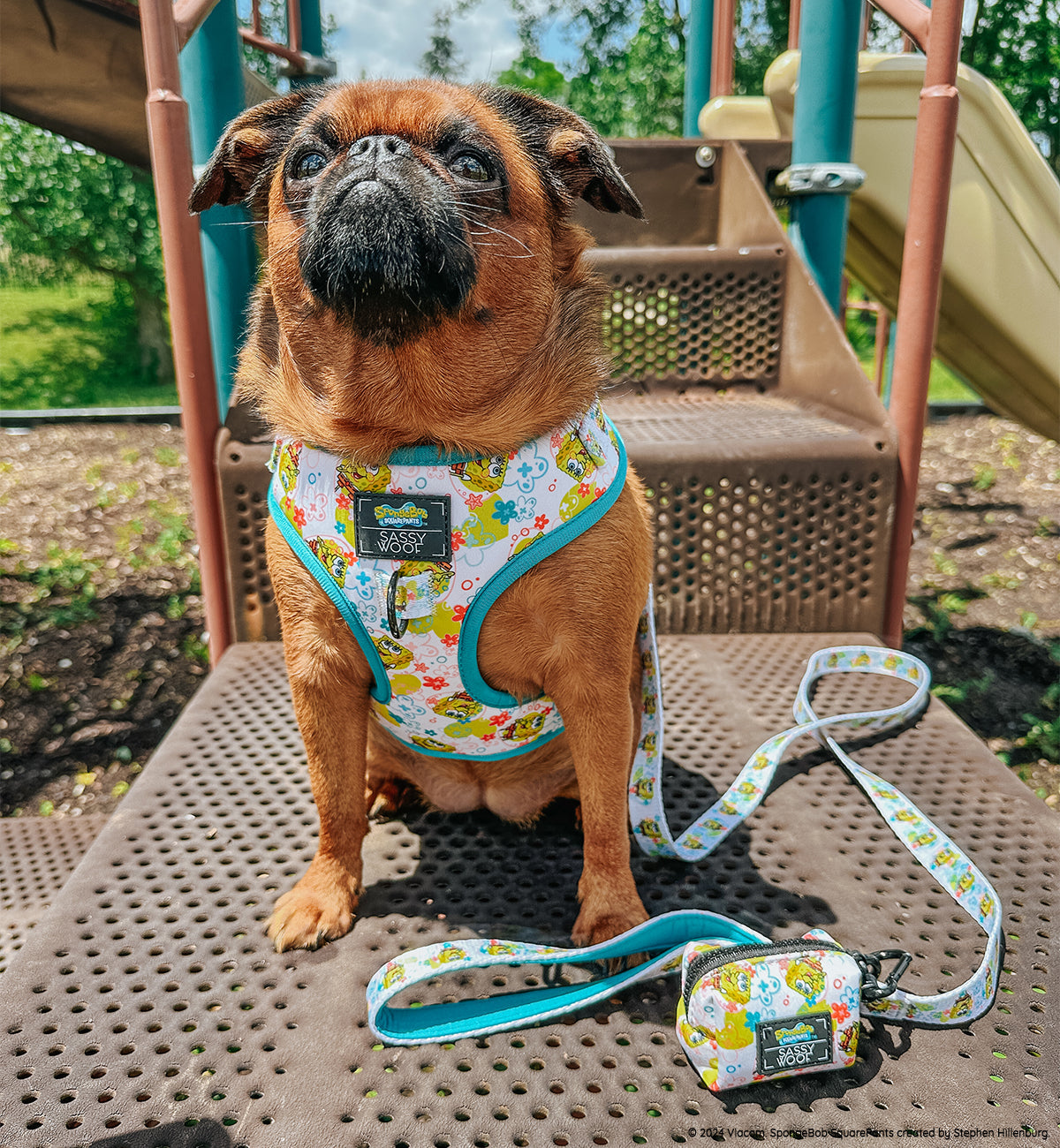 Dog Adjustable Harness - SpongeBob SquarePants™ Bikini Bottom