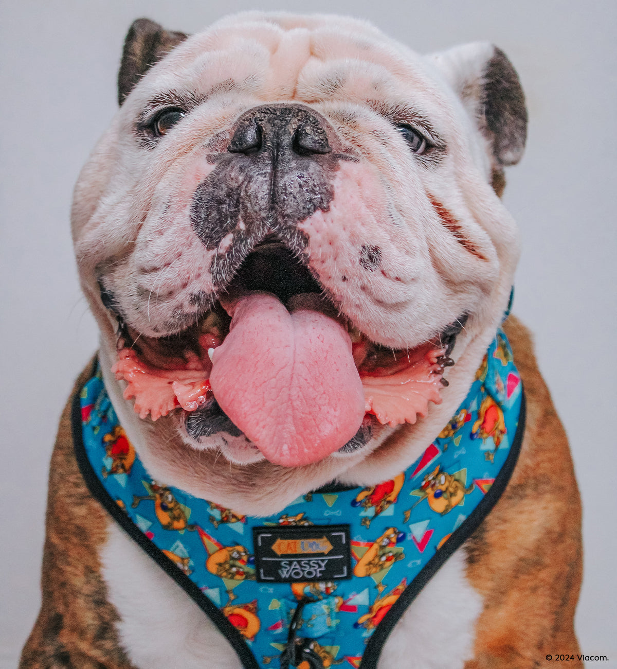 Dog Adjustable Harness - Nickelodeon CatDog™