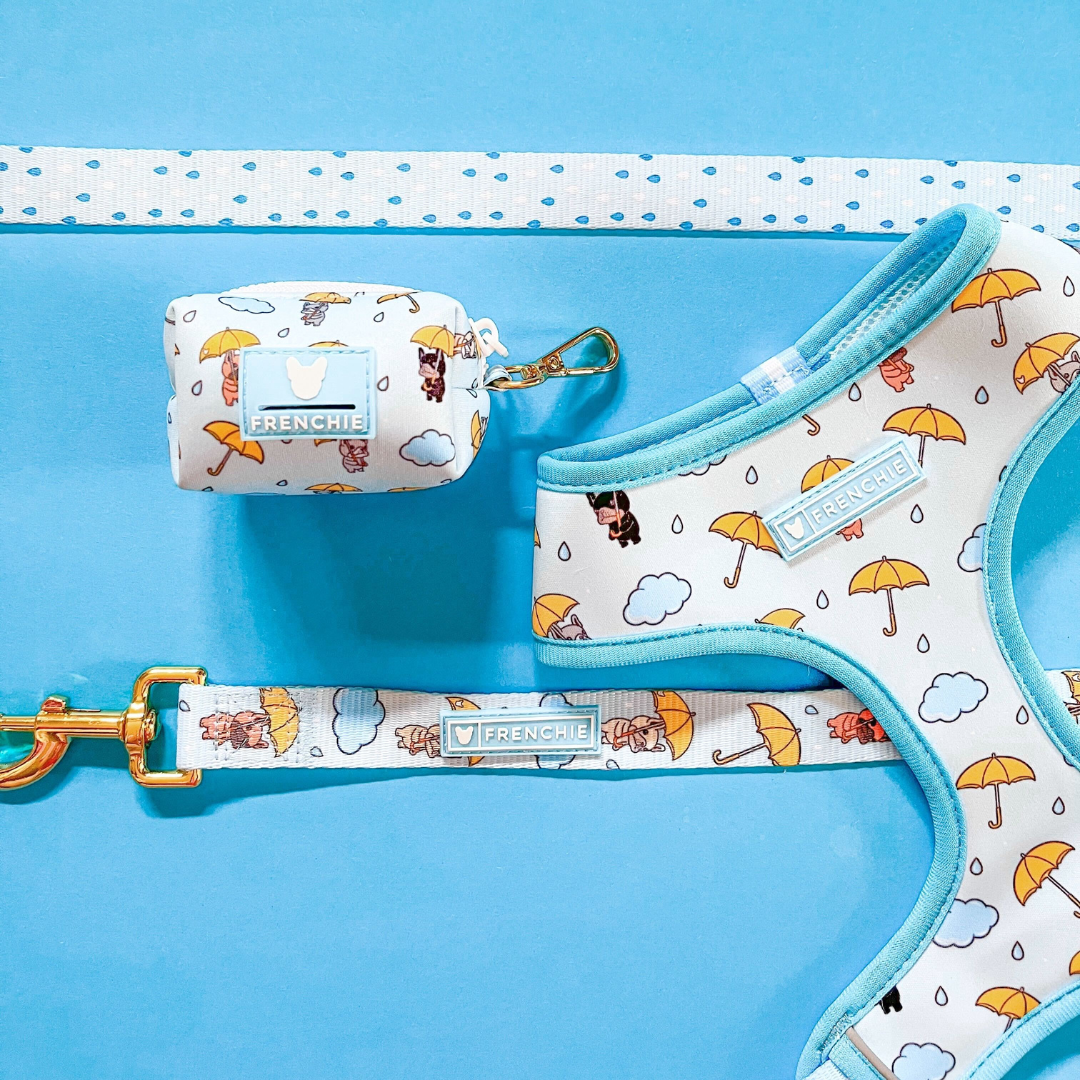 Frenchie Duo Reversible Harness - Its Raining Frenchies