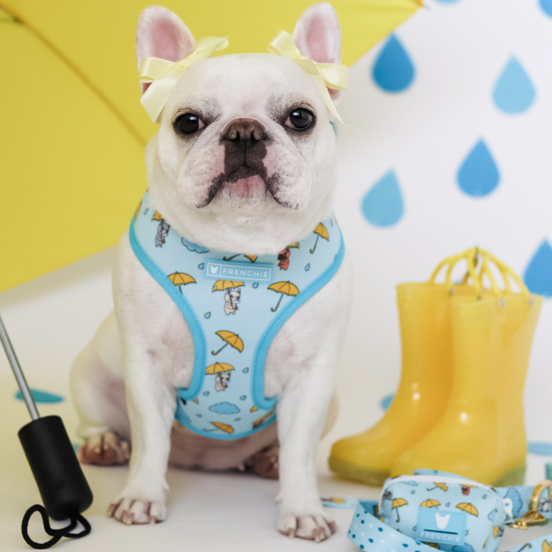 Frenchie Duo Reversible Harness - Its Raining Frenchies