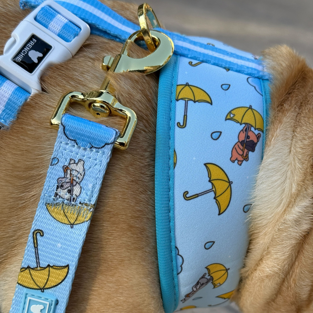 Frenchie Duo Reversible Harness - Its Raining Frenchies