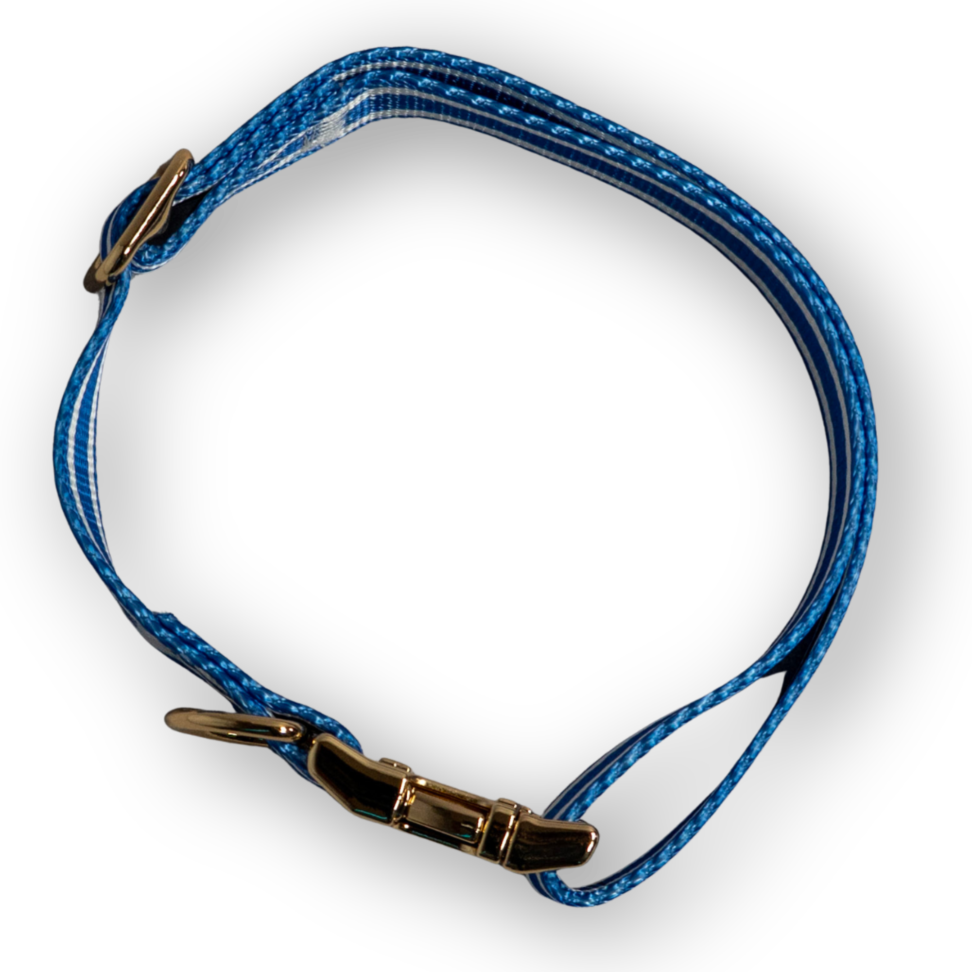 IZOD Pet - Collar & Leash Set