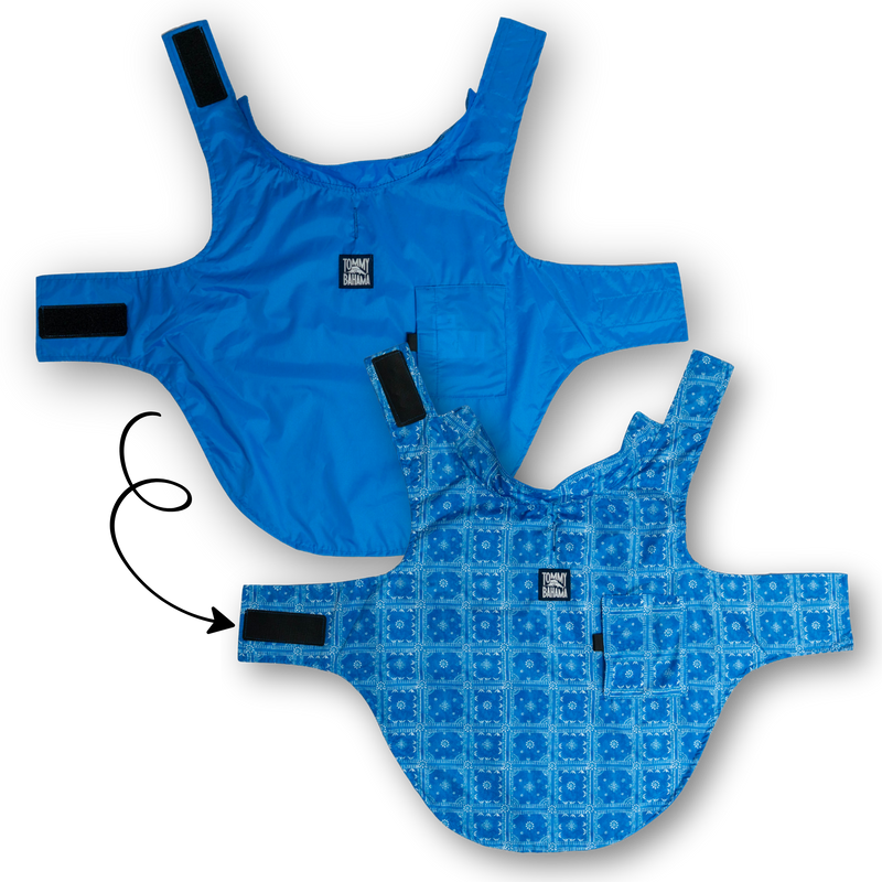 Tommy Bahama Pet - Frandy