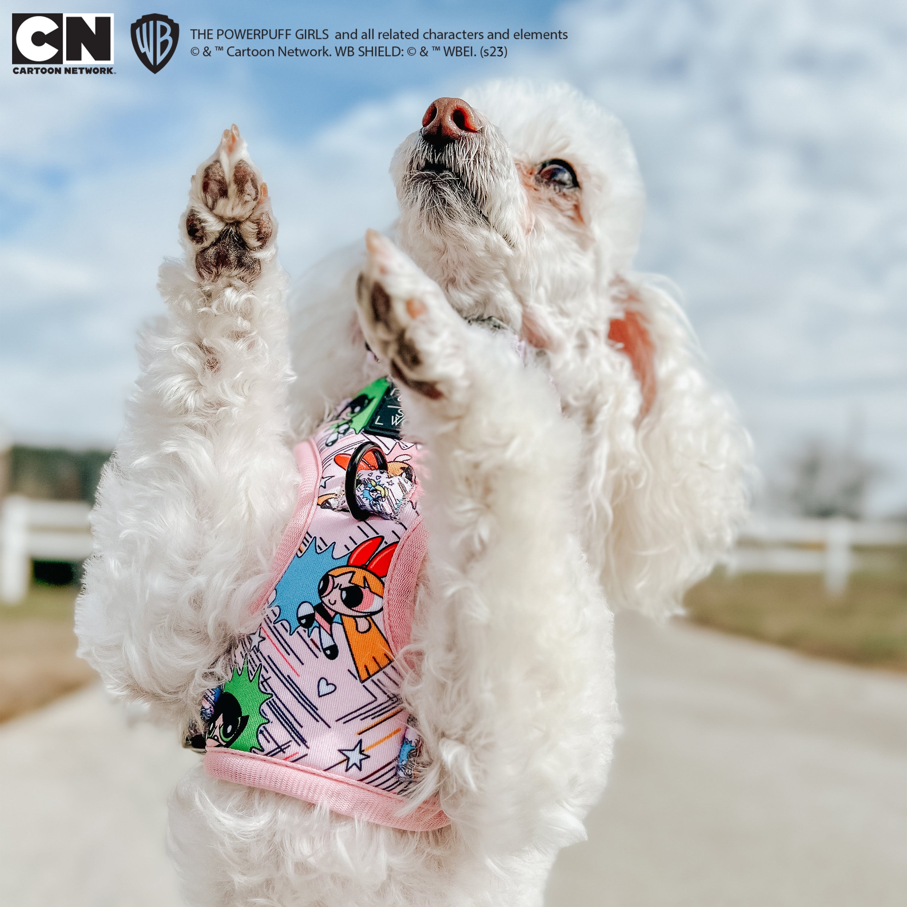 Dog Adjustable Harness - The Powerpuff Girls™ (Pink)