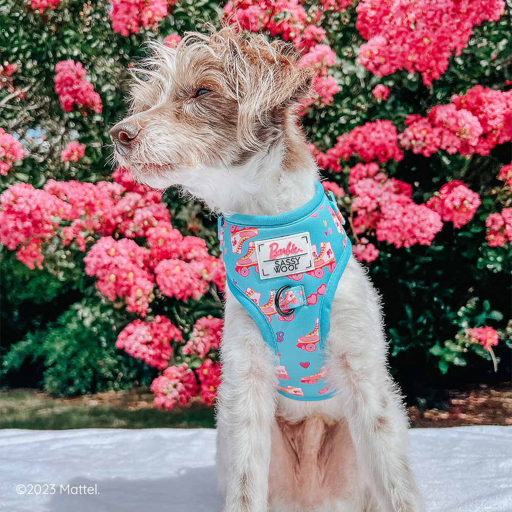 Dog Adjustable Harness - BARBIE™ On a Roll