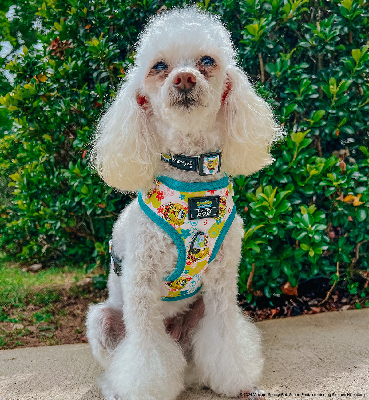 Dog Adjustable Harness - SpongeBob SquarePants™ Bikini Bottom