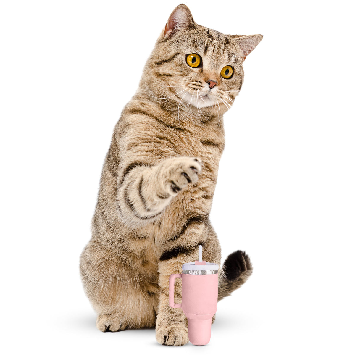 PUPROAR Kitty Cup Cat Toy - Cute Catnip and Crinkle Plush Cat Toy