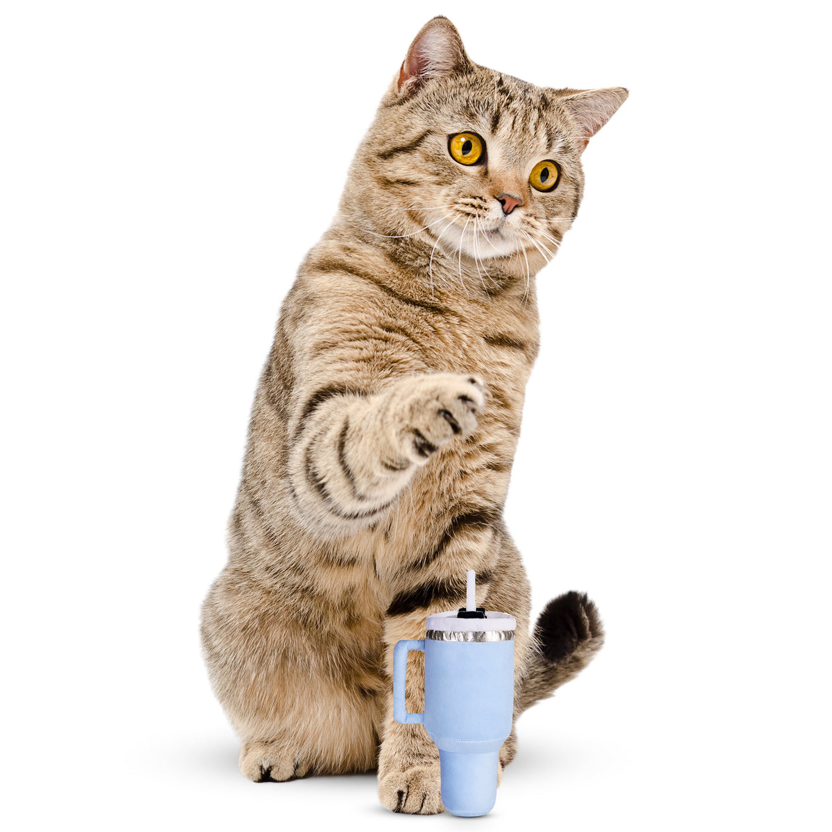 PUPROAR Kitty Cup Cat Toy - Cute Catnip and Crinkle Plush Cat Toy
