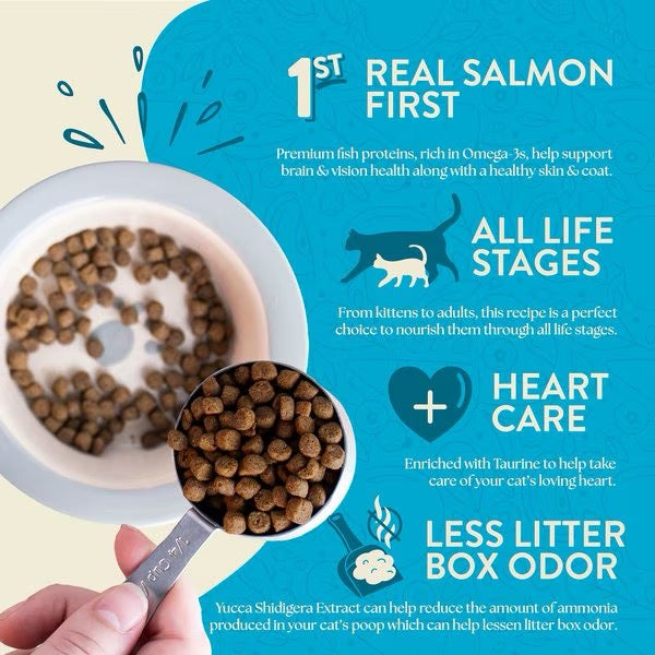 Earthborn Grain Free Wild Sea Catch Dry Cat Food (4lb)