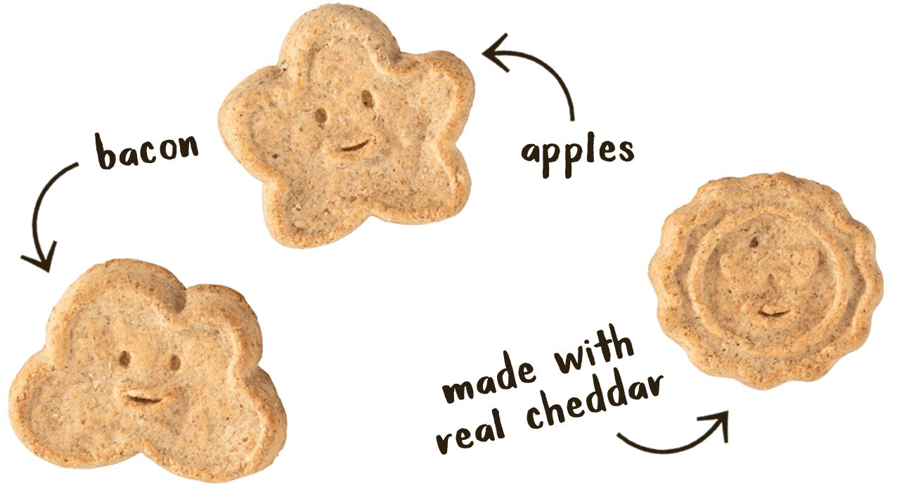 Wagmore Oats & Grains Bacon, Cheese & Apple Crunchy Biscuits Dog Treats (16oz) - HT Animal Supply