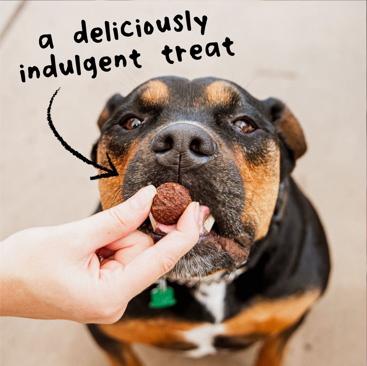 Wagmore Grain Free Beef Meatball Bites Dog Treats (14oz) - HT Animal Supply