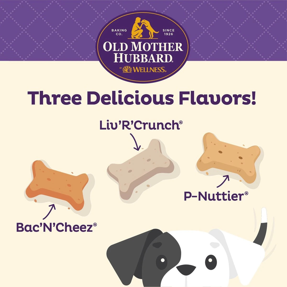 Old Mother Hubbard Savory Mix Assortment Mini Crunchy Dog Treats (20oz) - HT Animal Supply