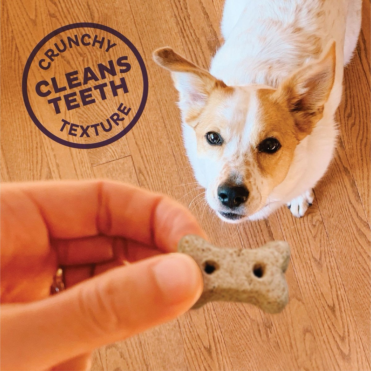 Old Mother Hubbard Hip & Joint Crunch Dog Treats (20oz) - HT Animal Supply