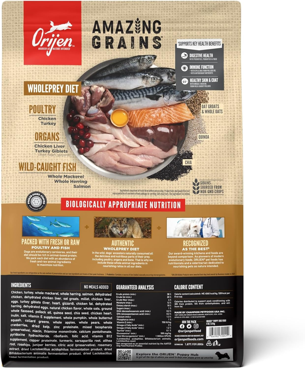 Orijen Amazing Grains Puppy Dry Dog Food