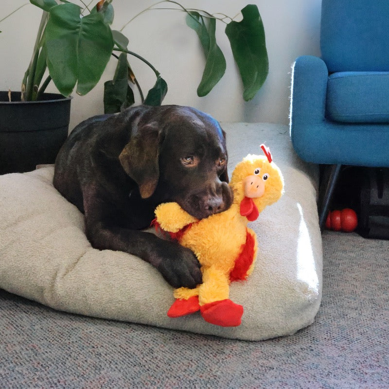 Kong Knots Chicken - HT Animal Supply
