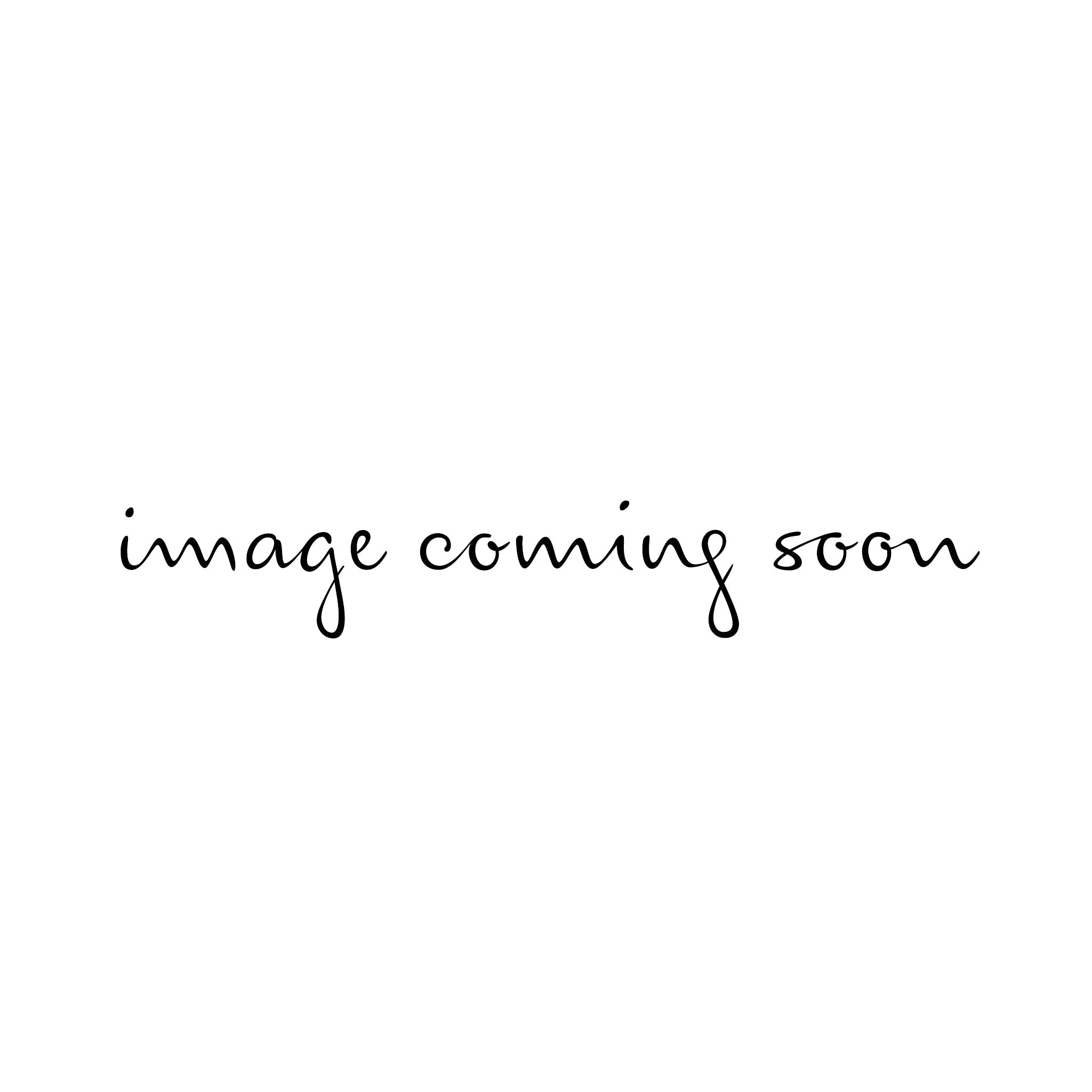 Color Market Small Breed Dog Lead