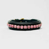 Imperial Dog Collar