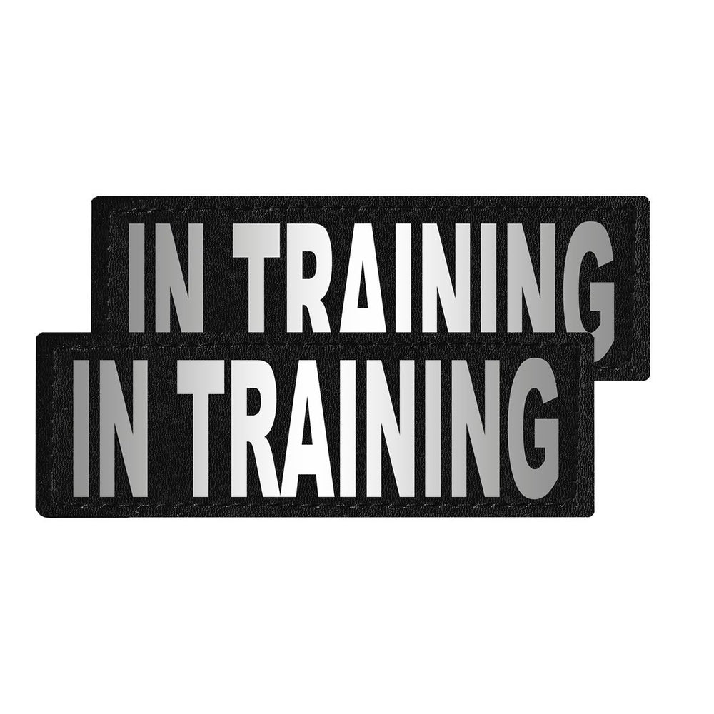 Dogline Removable Reflective Patches (Set of 2)