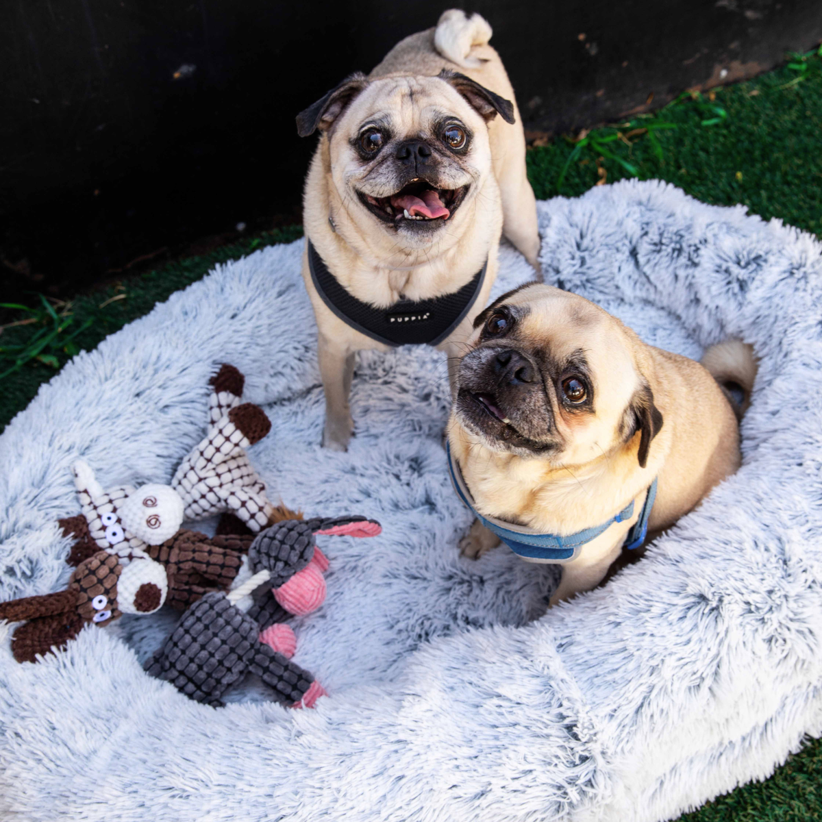 Glow Pups: Light Grey Faux Fur Memory Foam Bolster Dog Bed