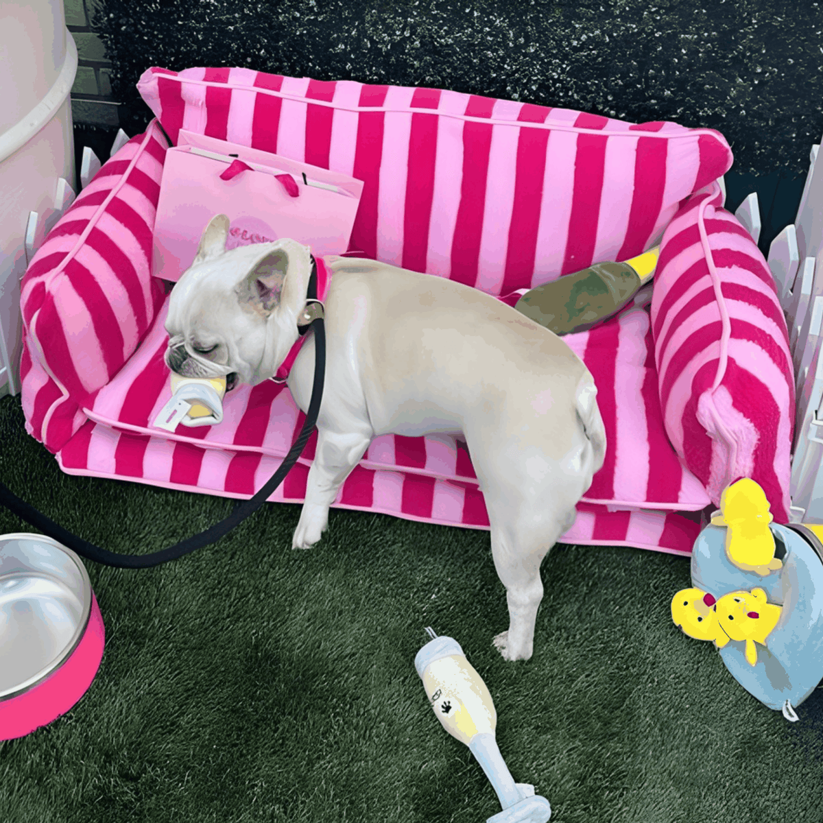 Glow Pups: Pink Striped Sofa Dog Bed