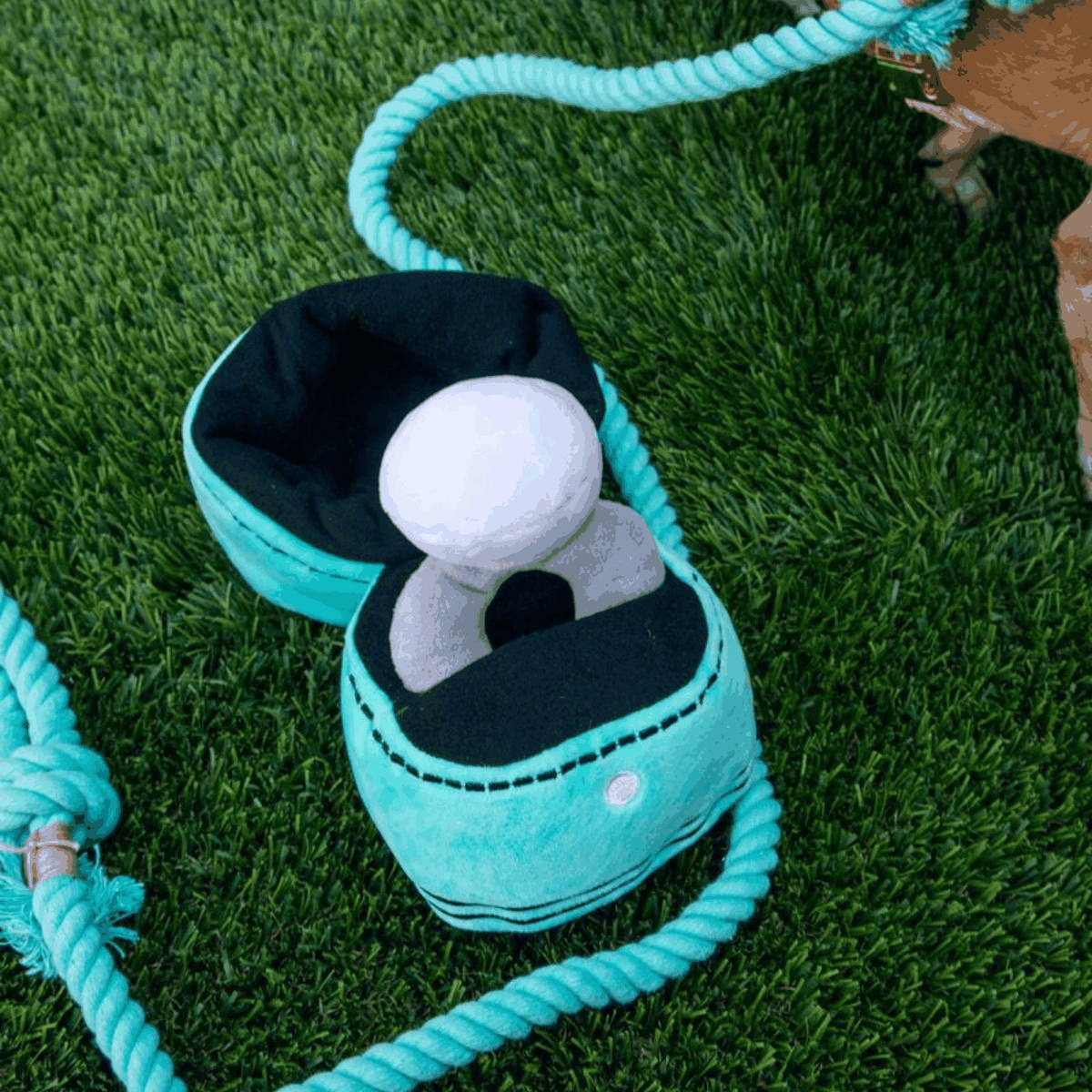 Glow Pups: Engagement Ring Squeaky Plush Dog Toy
