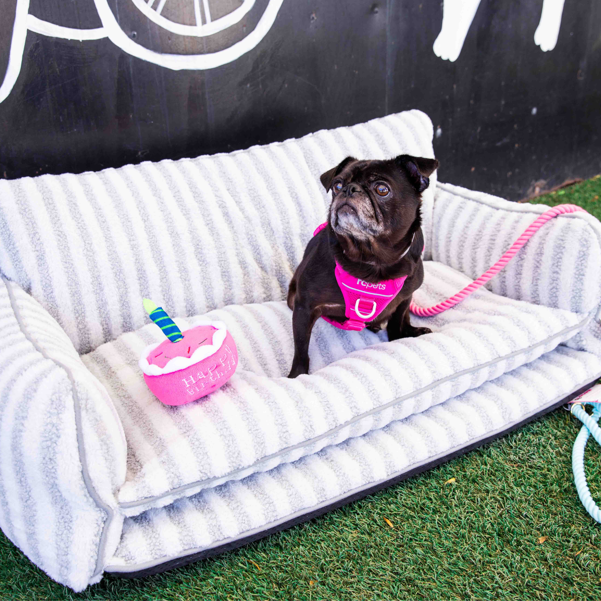 Glow Pups: Grey and White Striped Sofa Dog Bed