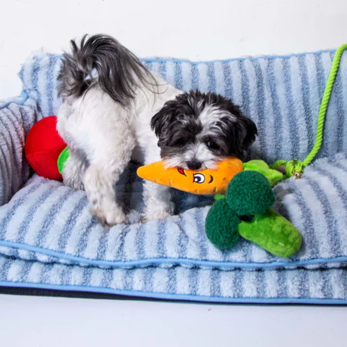 Glow Pups: Light Blue Striped Sofa Dog Bed