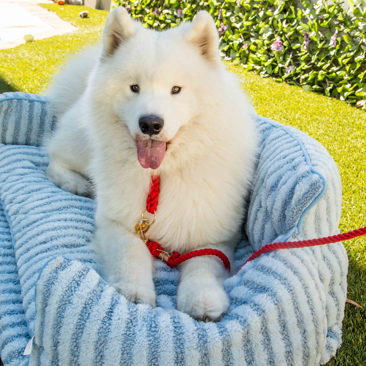 Glow Pups: Light Blue Striped Sofa Dog Bed