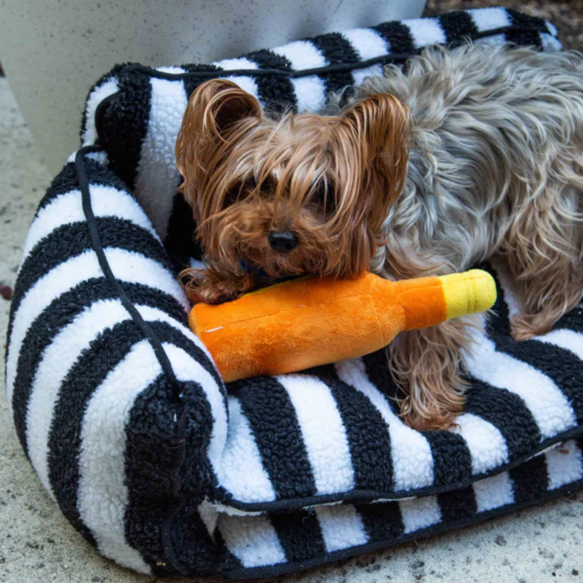 Glow Pups: Black and White Striped Sofa Dog Bed