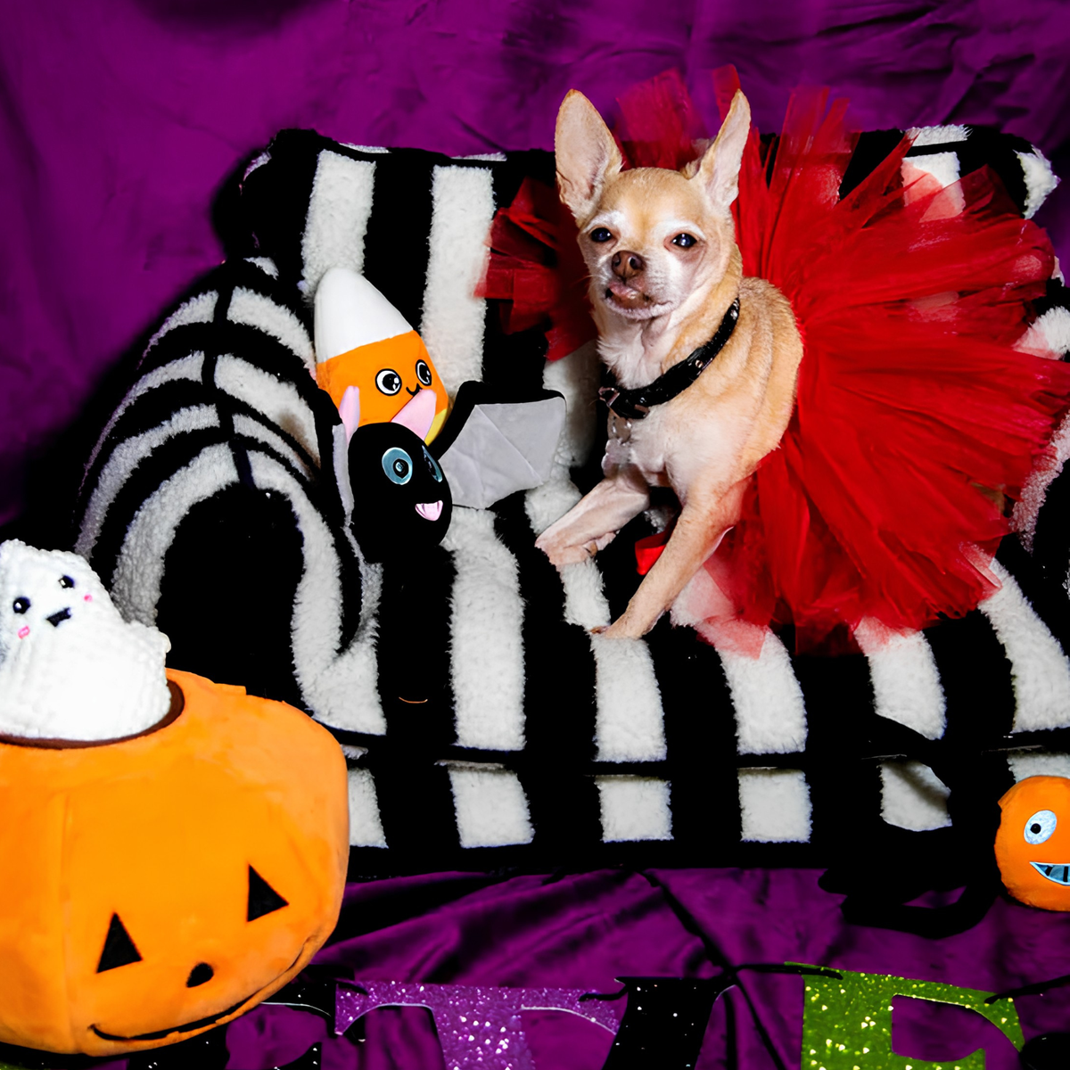 Glow Pups: Black and White Striped Sofa Dog Bed