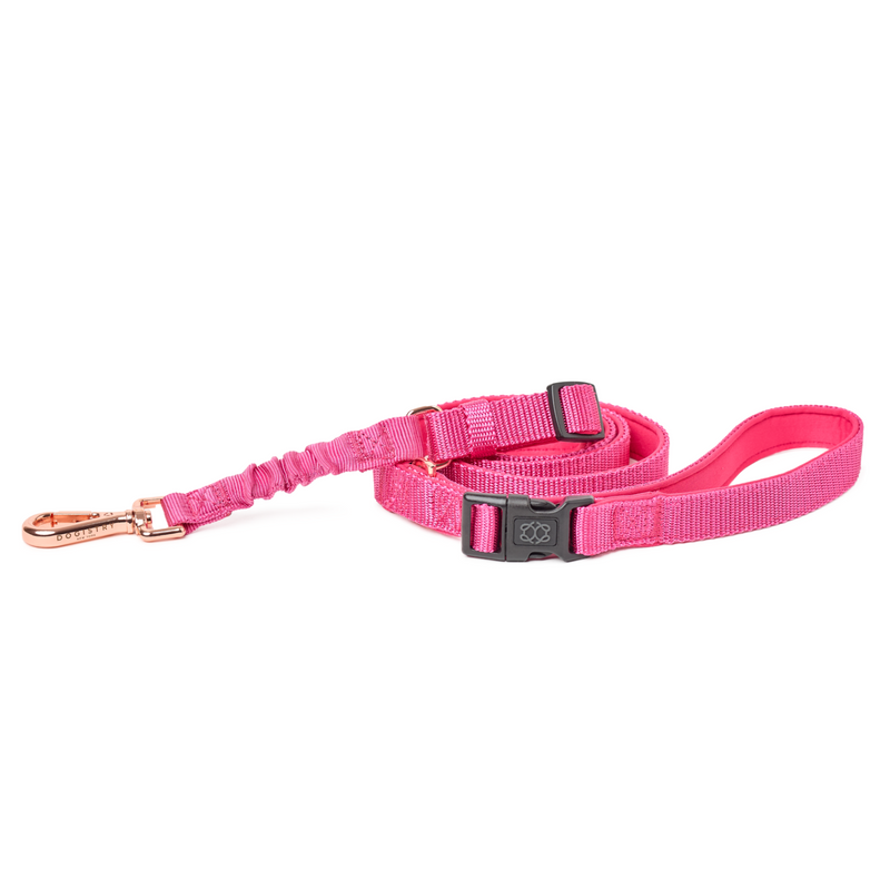 DOGISTRY 3-in-1 City Dog Leash - Park Ave Pink