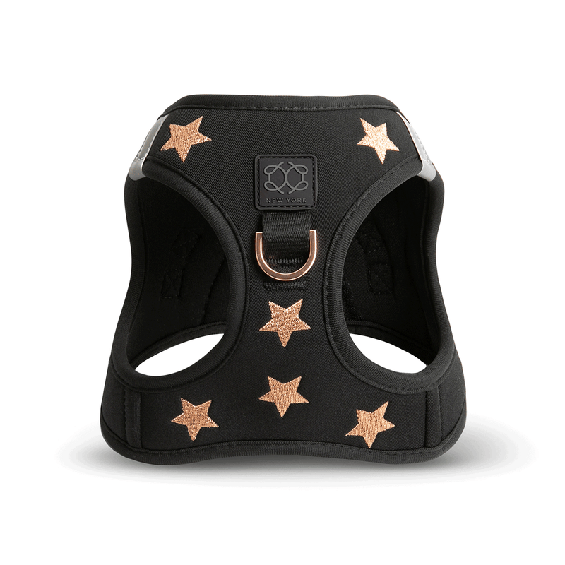 DOGISTRY SoHo Dog Harness - Rockstar