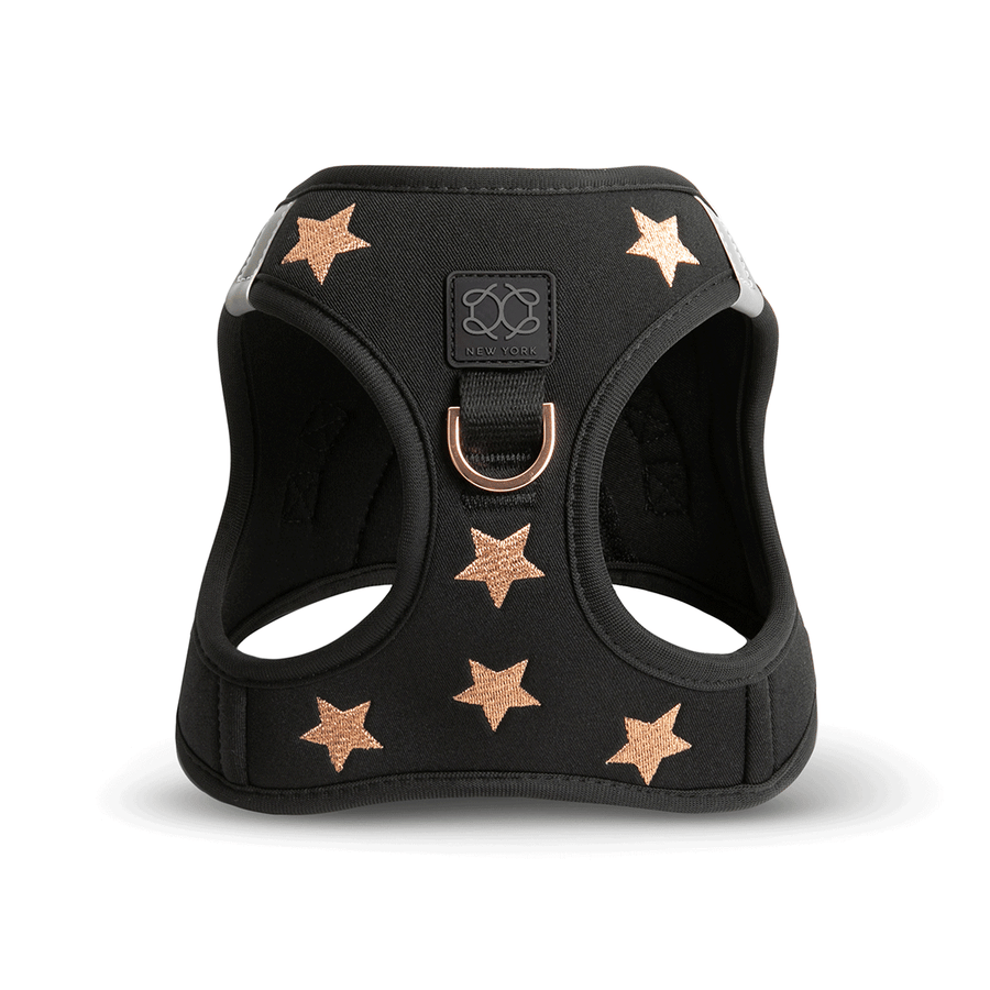 DOGISTRY SoHo Dog Harness - Rockstar