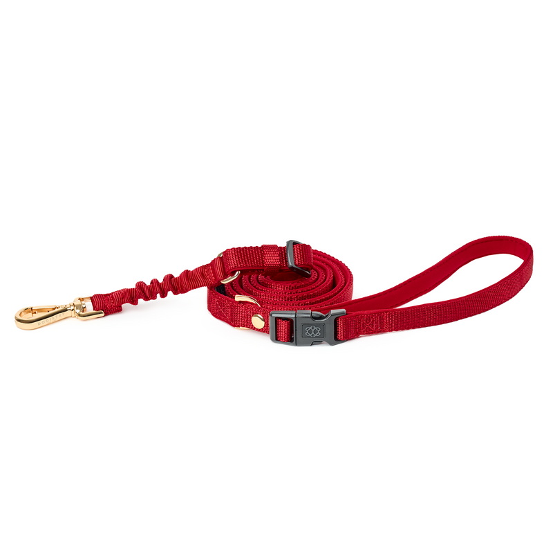 DOGISTRY 3-in-1 City Dog Leash - Iconic Red
