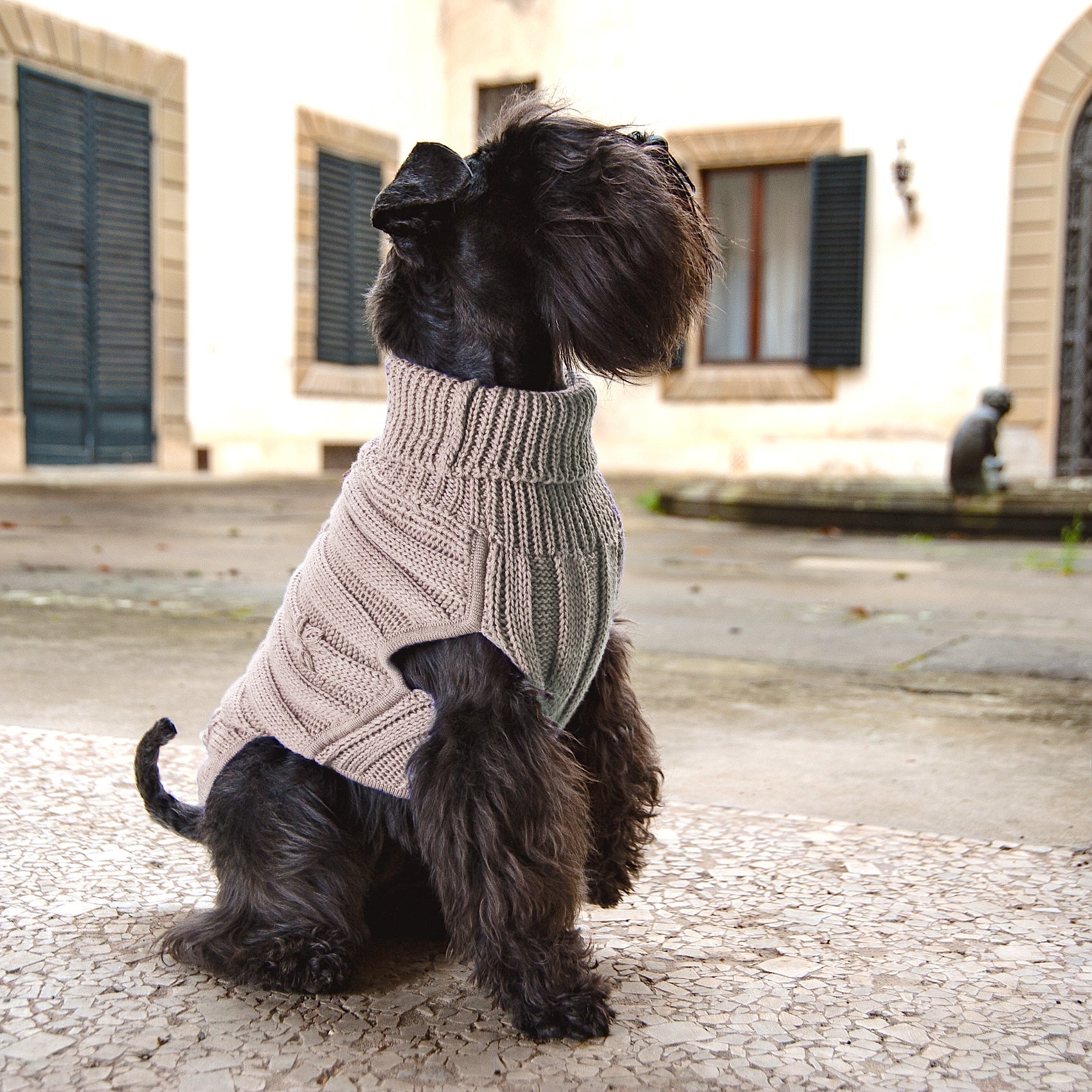 Butter Flowers-Up & Down