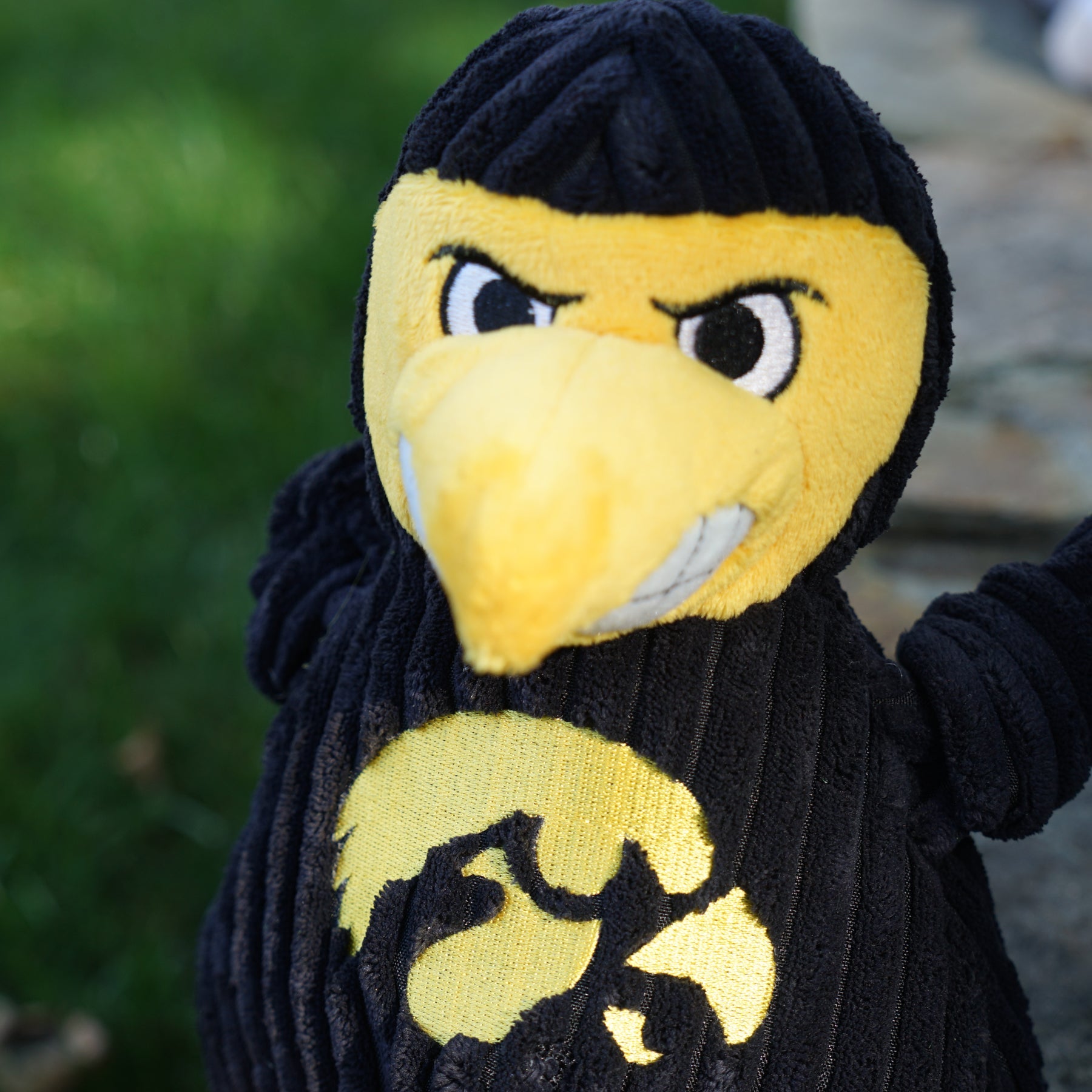 NCAA University of Iowa - Herky the Hawk Knottie Plush Dog Toy