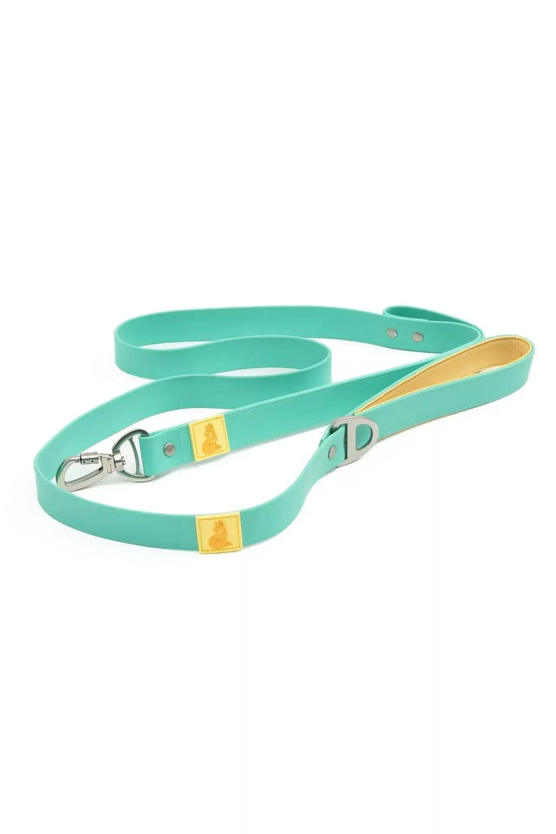 Island Vibes Waterproof Dog Leash | HT Animal Supply