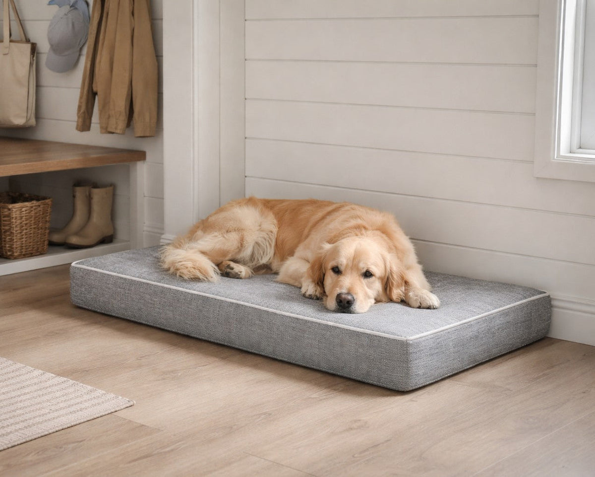 Bowsers Isotonic Memory Foam Dog Crate Mattress - Pressure-Relieving Crate Support
